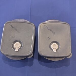 Tupperware Charcoal Square Containers